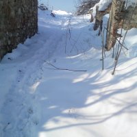Snowy walk in Feb