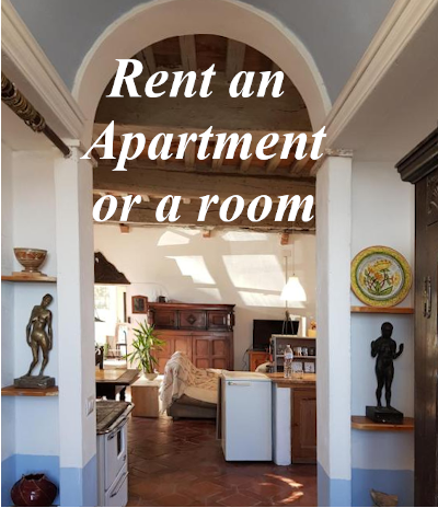 apartments to rent